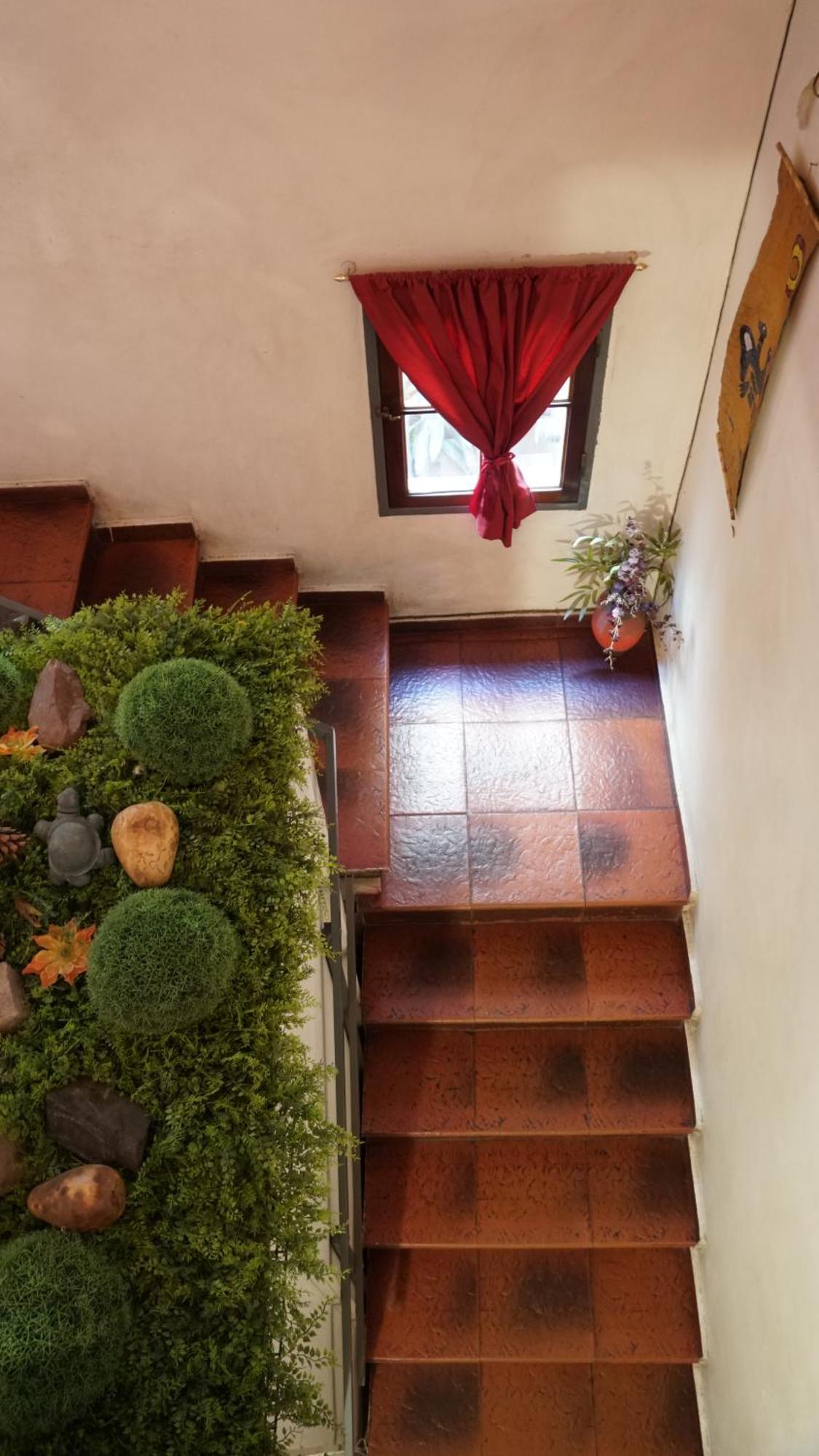 Hostel&Spa Mediterránea Córdoba Kültér fotó
